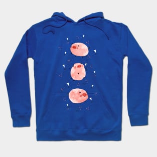 Baby pigs Hoodie